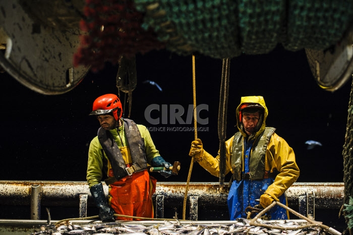 Pêche dans la Manche sur un chalutier