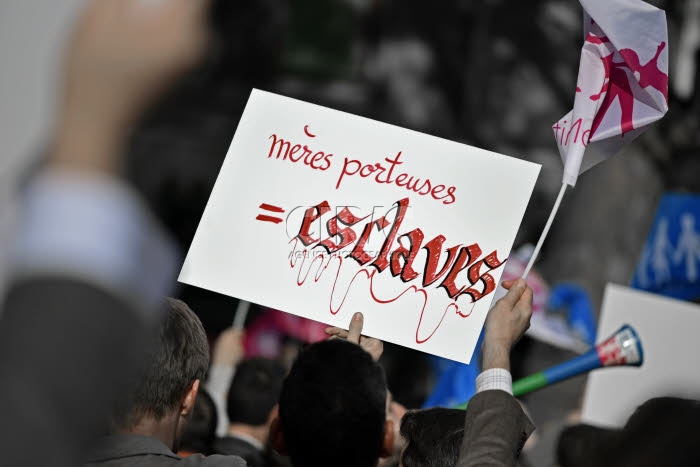 Manif pour Tous, manifestation pour soutenir le projet de loi anti-GPA