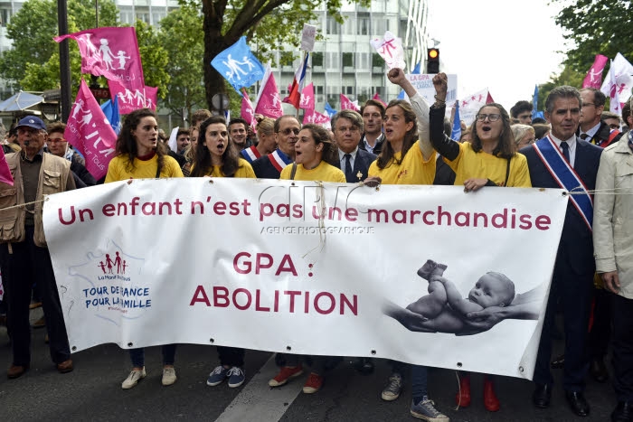 Manif pour Tous, manifestation pour soutenir le projet de loi anti-GPA