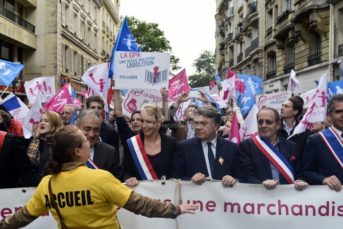 Manif pour Tous, manifestation pour soutenir le projet de loi anti-GPA