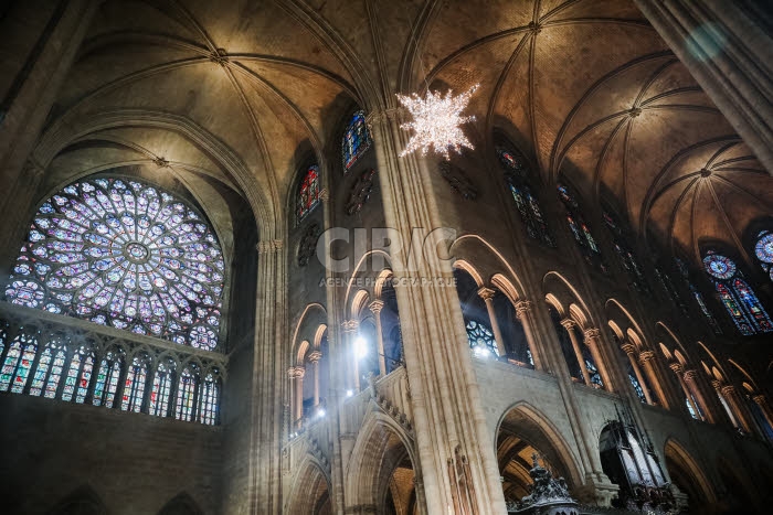 Illuminations de Noël au sein de la Cathédrale Notre-Dame de Paris