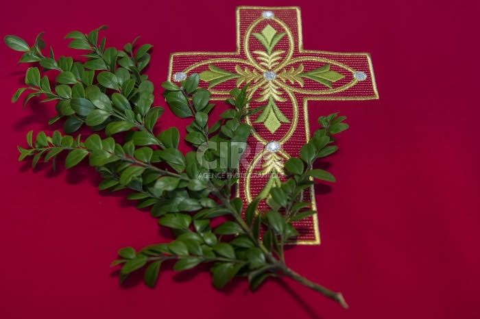 Couleur liturgique lors de la fête des Rameaux.