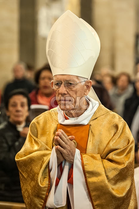 Cardinal Maurice E. PIAT.