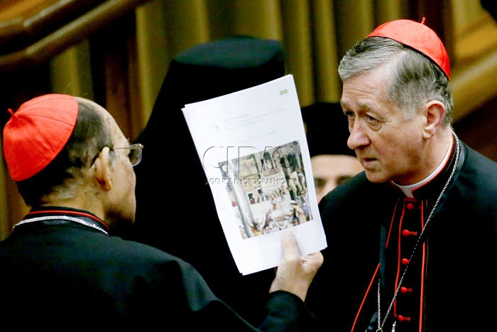 Sommet international sur les abus sexuels dans l’Eglise catholique.