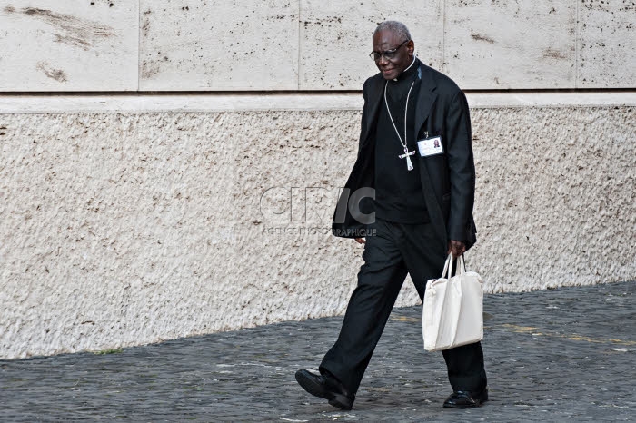 Synode sur l’Amazonie au Vatican.