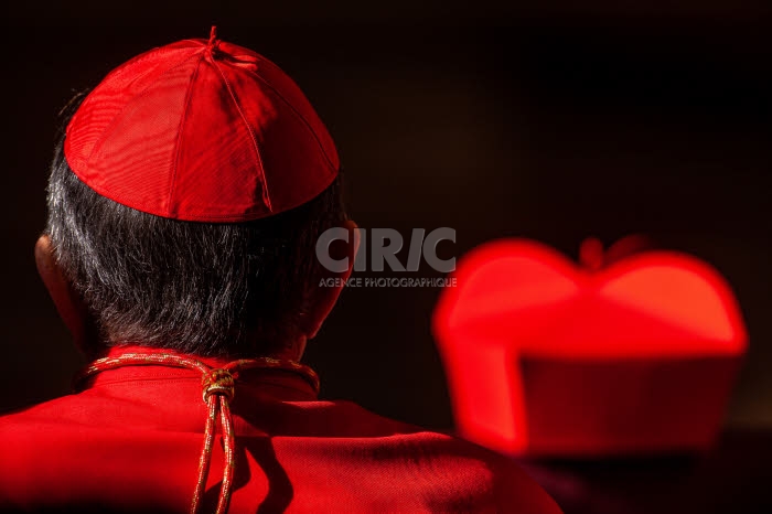 Illustration. Cardinal, calotte et barrette rouge.
