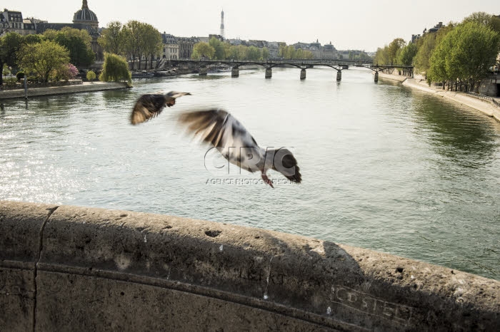 Vue du pont des Arts à Paris