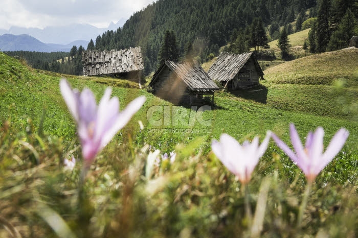 Châlets d'alpage, Hautes-Alpes.