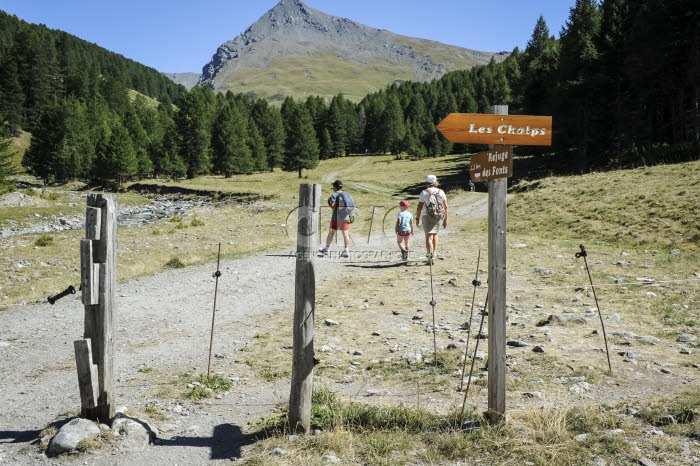 Randonnée en montagne, Hautes-Alpes.