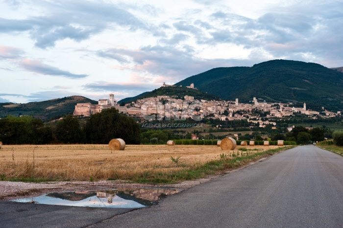 Assise