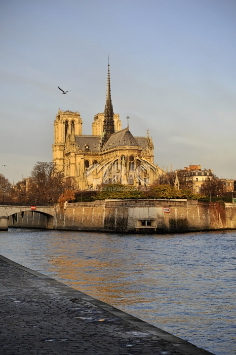 6/12/12 : La Cathédrale Notre Dame de Paris
