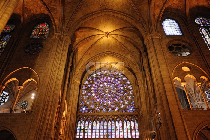 Cathédrale Notre-Dame de Paris
