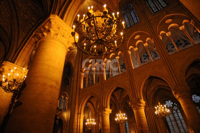 Cathédrale Notre-Dame de Paris