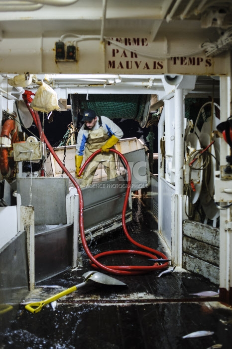 Pêche dans la Manche sur un chalutier