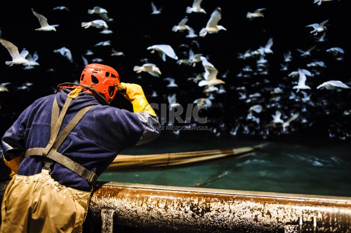 Pêche dans la Manche sur un chalutier