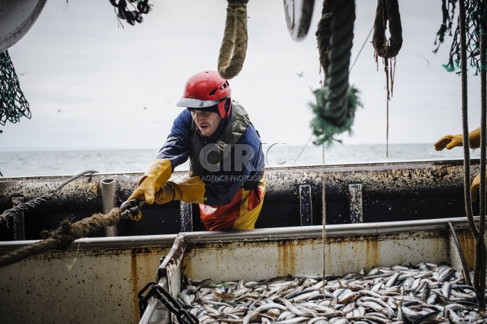 Pêche dans la Manche sur un chalutier
