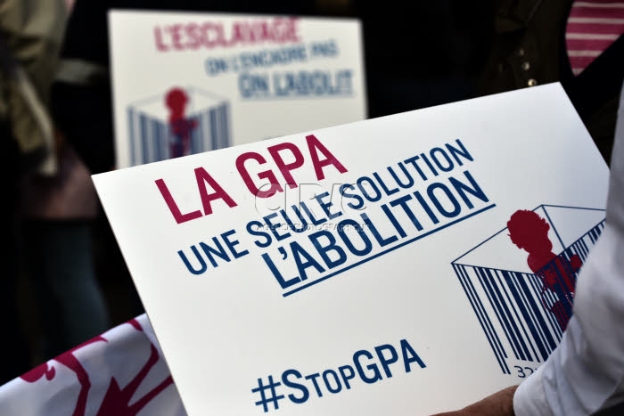 Manif pour Tous, manifestation pour soutenir le projet de loi anti-GPA