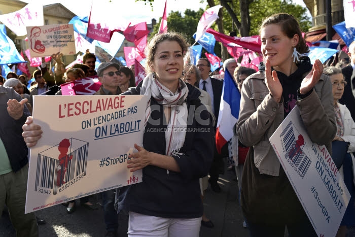 Manif pour Tous, manifestation pour soutenir le projet de loi anti-GPA