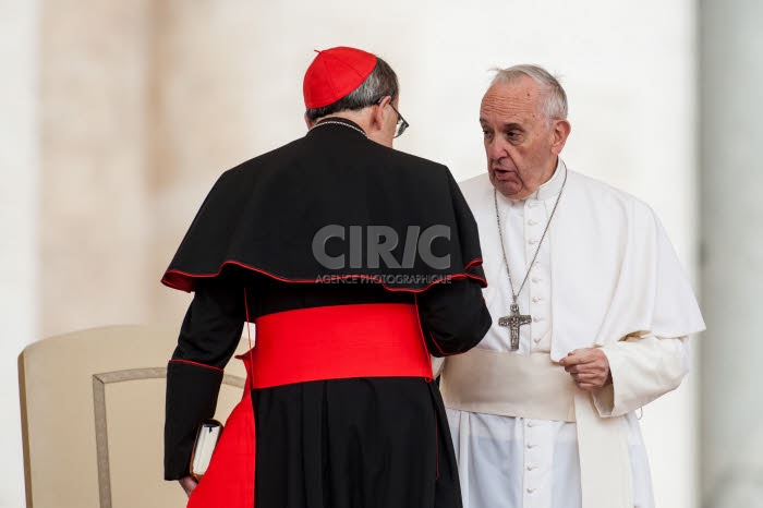Audience générale au Vatican.