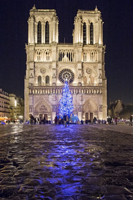 Sapin de Noël sur le parvis de la Cathédrale Notre-Dame
