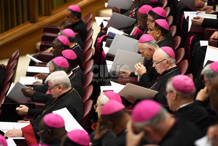 Sommet international sur les abus sexuels dans l’Eglise catholique.