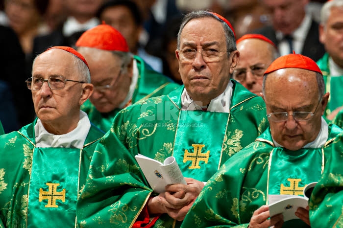 Messe pour l'ouverture du synode spécial des évêques sur l'Amazonie