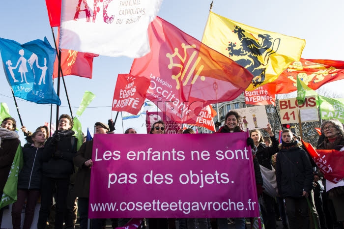 Manifestation contre la réforme de la PMA, la GPA, le projet de loi bioéthique.