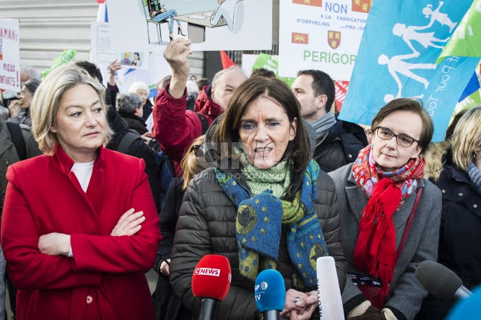 Manifestation contre la réforme de la PMA, la GPA, le projet de loi bioéthique.